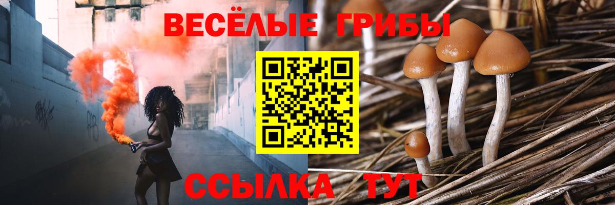 Псилоцибиновые грибы Psilocybine cubensis  Вход с VPN  Долгопрудный 